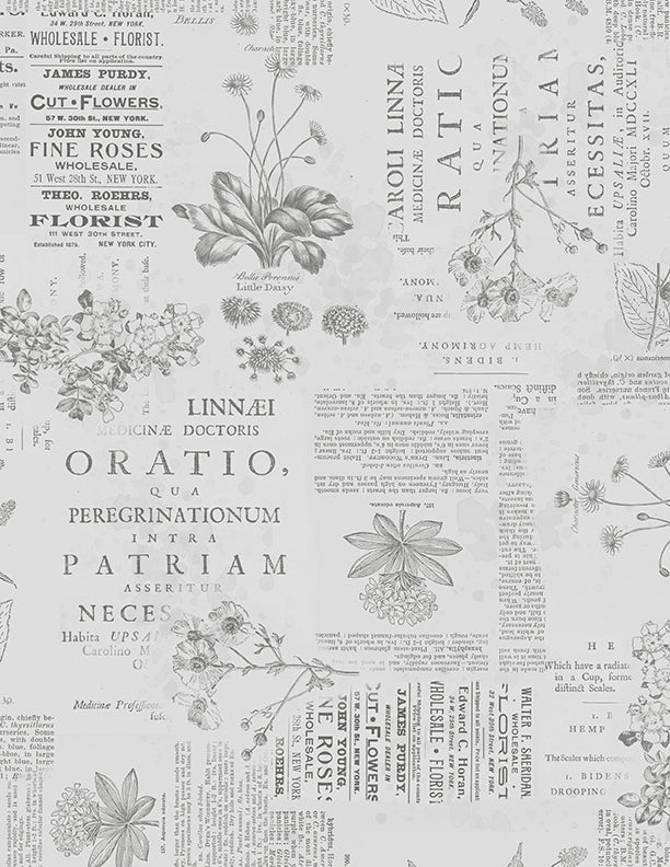 Floral Monograph Gray