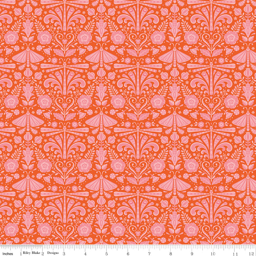 Field Study Orange