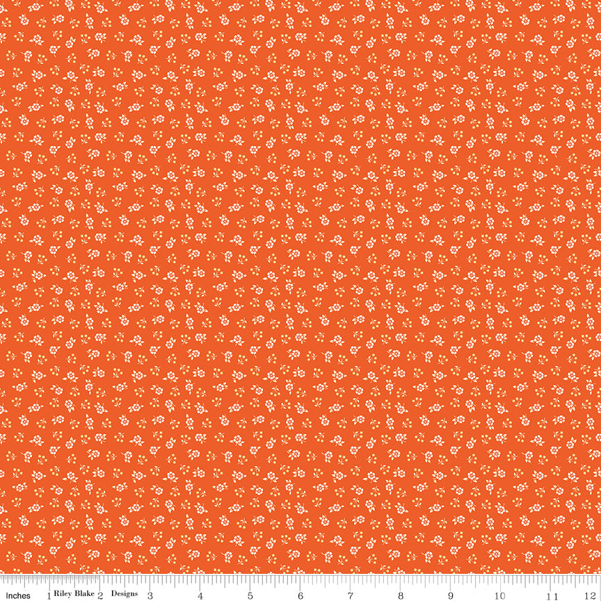 Meadow Orange