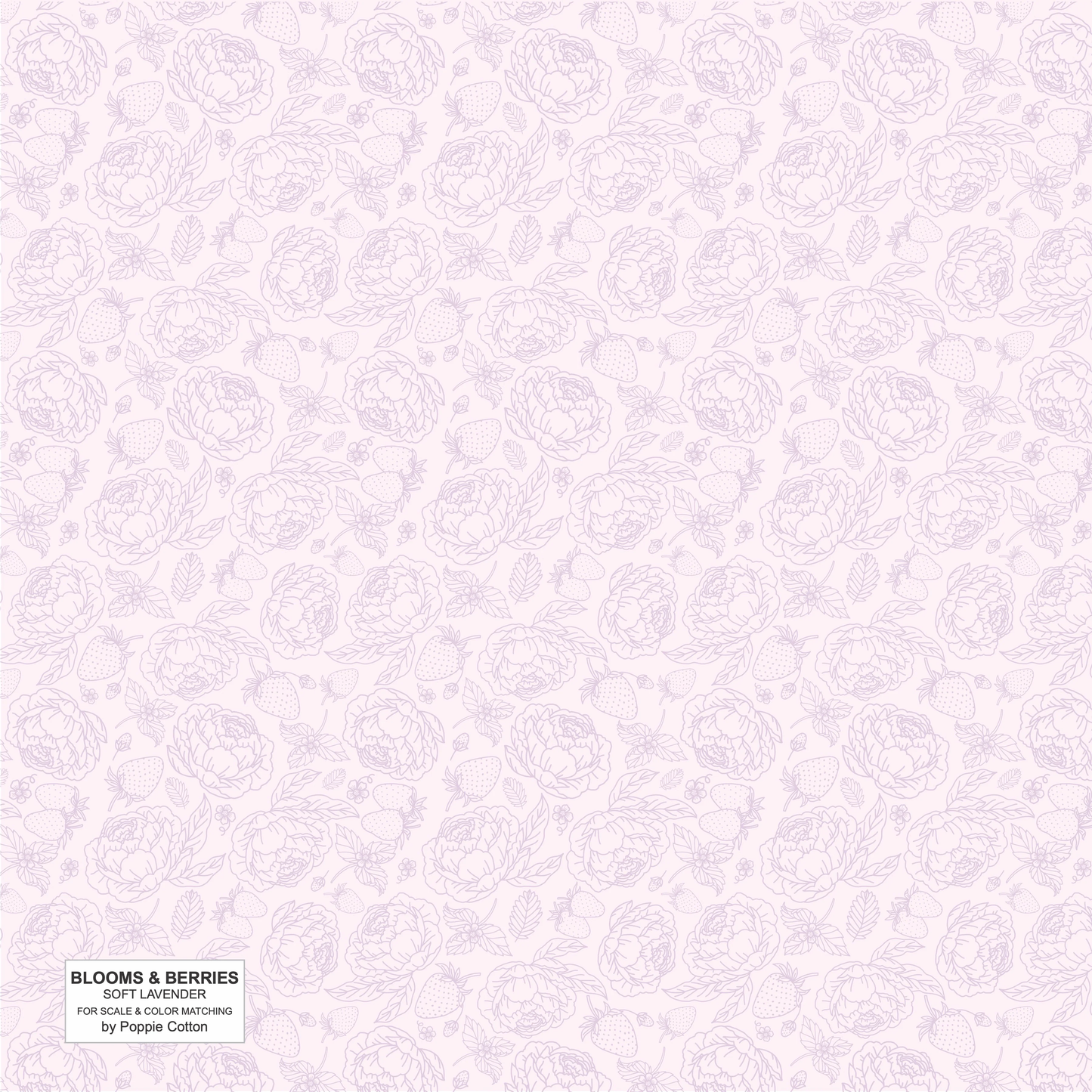 SOFT LAVENDER PURPLE - Blooms and Berries