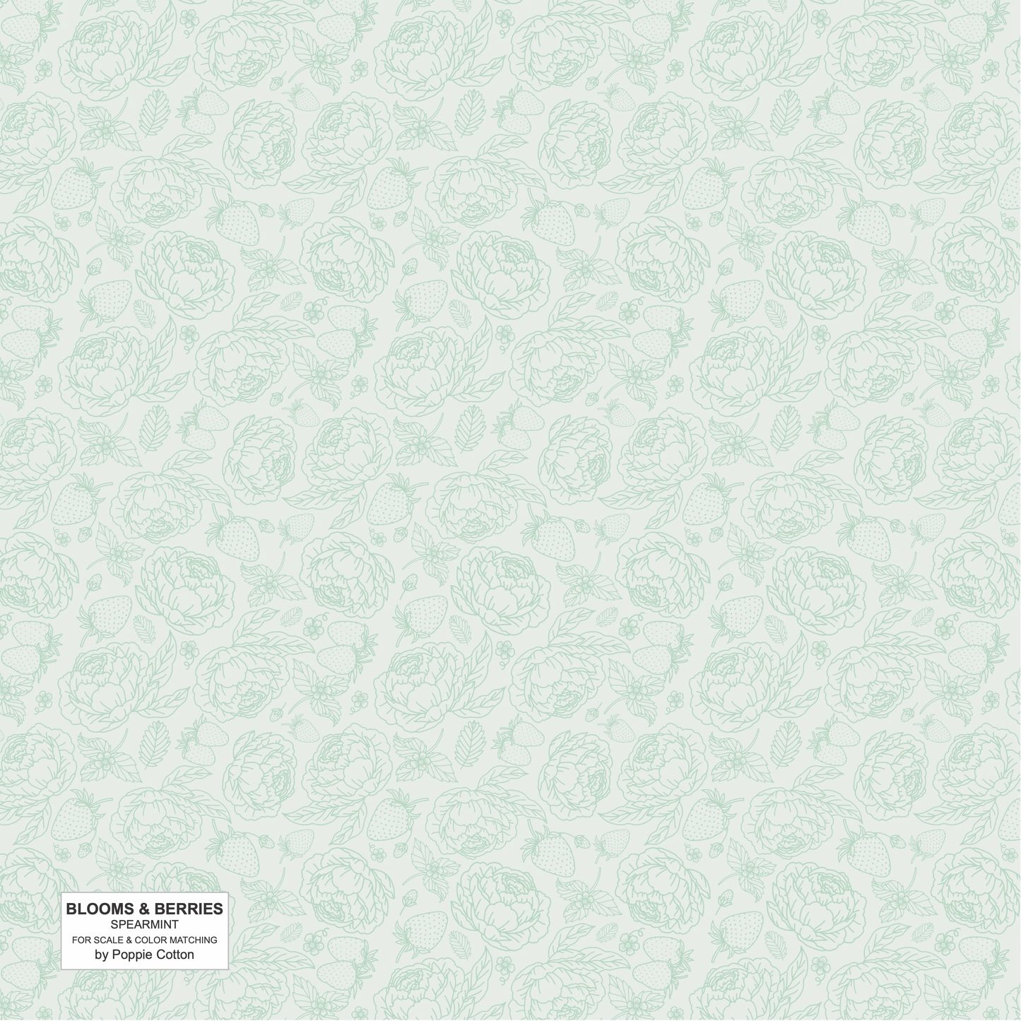 SPEARMINT LIGHT GREEN - Blooms and Berries