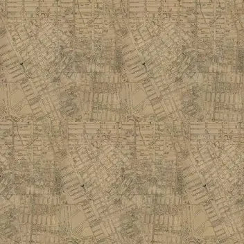 Neutral Map Canvas Neutral