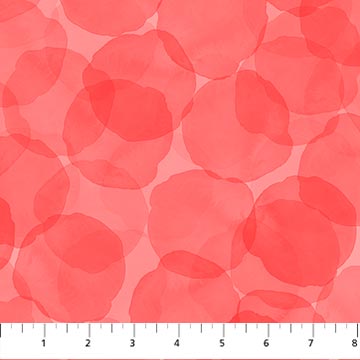 cherry by Patrick Lose for Northcutt