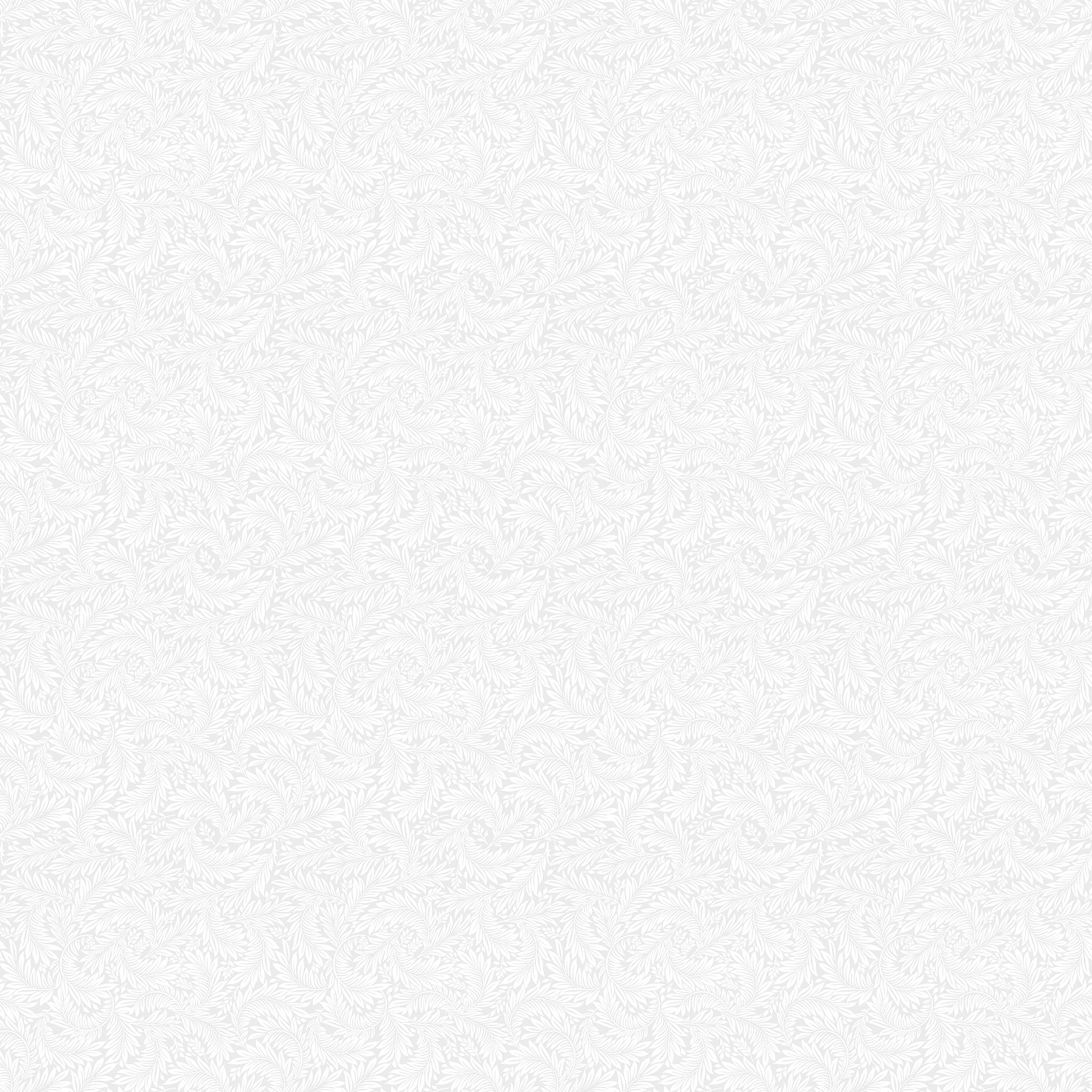 Basically Black and White | White