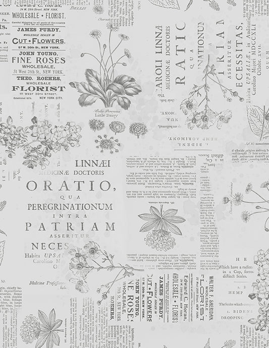 Floral Monograph Gray