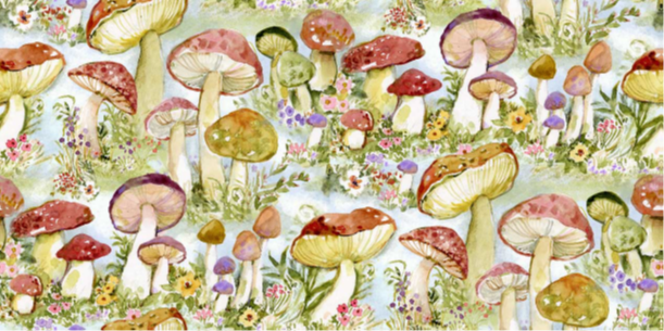 Spring Creative, Intriguing Mushrooms  Blue - Mushroom Packed