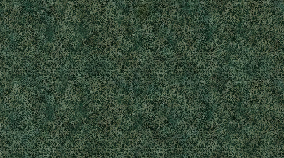 Altitude |  Cedar Springs Dark Green