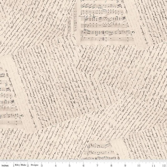 Jane Austen At Home Accomplished Woman Wideback