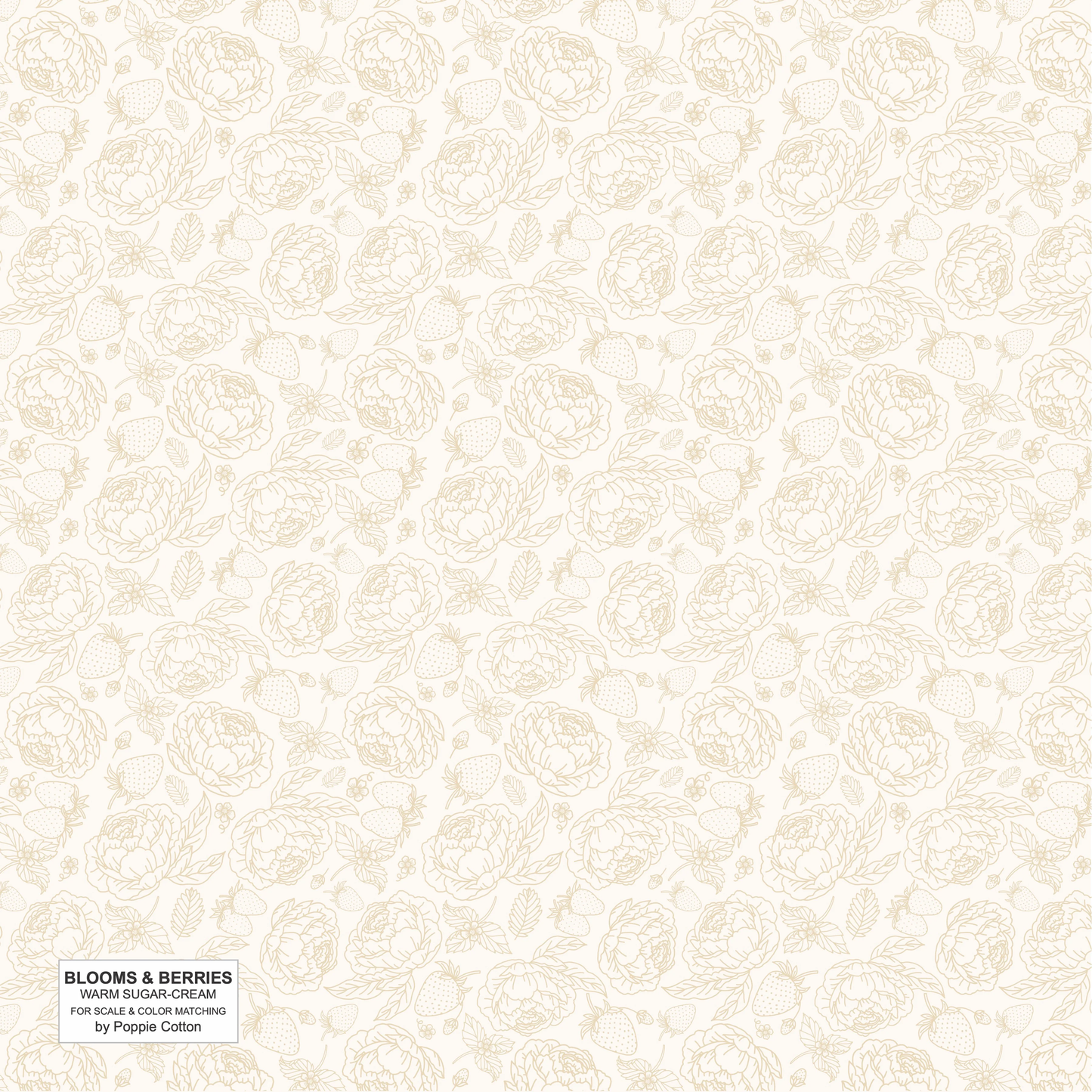 WARM SUGAR CREAM - Blooms and Berries