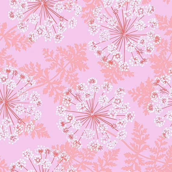 Wild Carrots Sherbet Pink by Flora and Fauna Collection